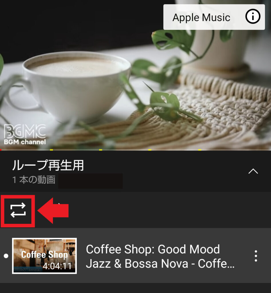 Youtube 動画をループ再生する方法 Pcとスマホのやり方をそれぞれ解説 ぱなだブログ